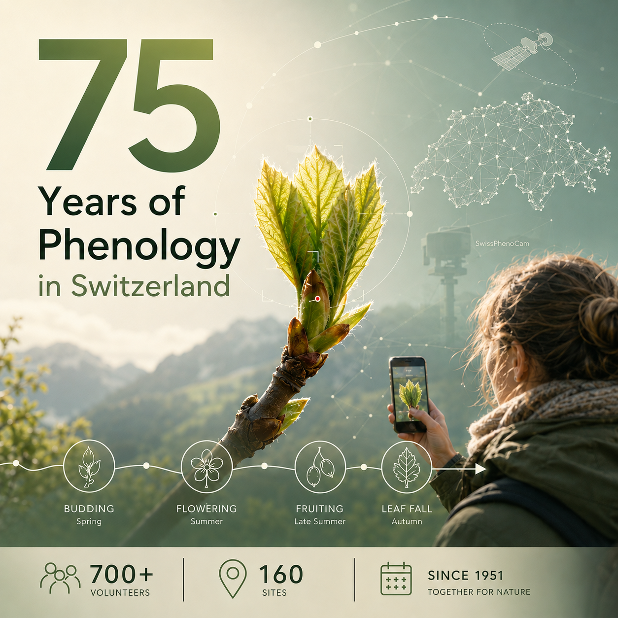 Anniversary image marking 75 years of phenology in Switzerland, showing a plant bud being photographed with a smartphone, overlaid with seasonal icons, data graphics, and a Swiss map