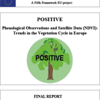 positive